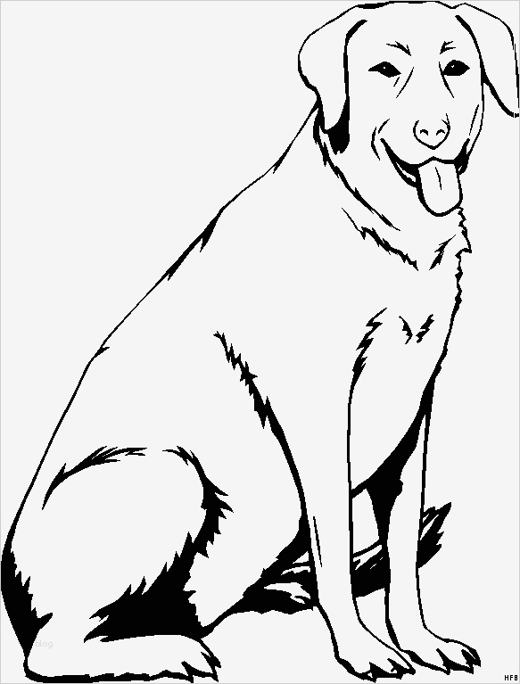 Hund Vorlage Süß Sitzender Hund 2 Ausmalbild & Malvorlage Tiere