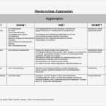 Hygieneplan Vorlage Süß Med Online