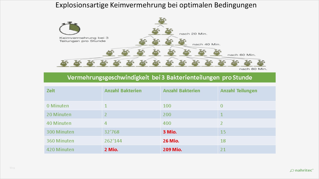 Hygieneschulung Vorlage Beste Aktuell