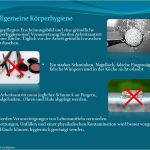 Hygieneschulung Vorlage Erstaunlich Haccp Hygieneschulung Haccp Schulung Auf Cd Rom Vorlage