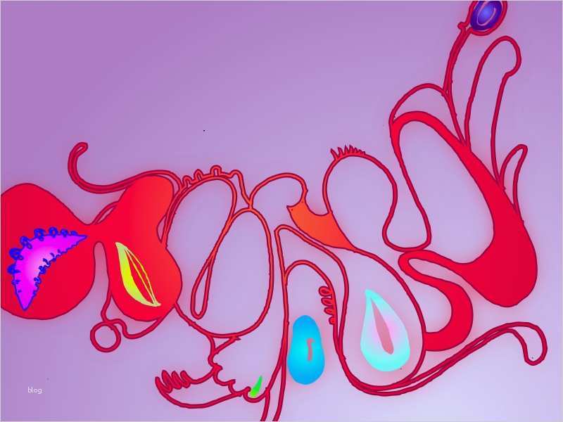 Ideo Labs Gmbh Kündigung Vorlage Bewundernswert Kai Hattermann Bilder News Infos Aus Dem Web