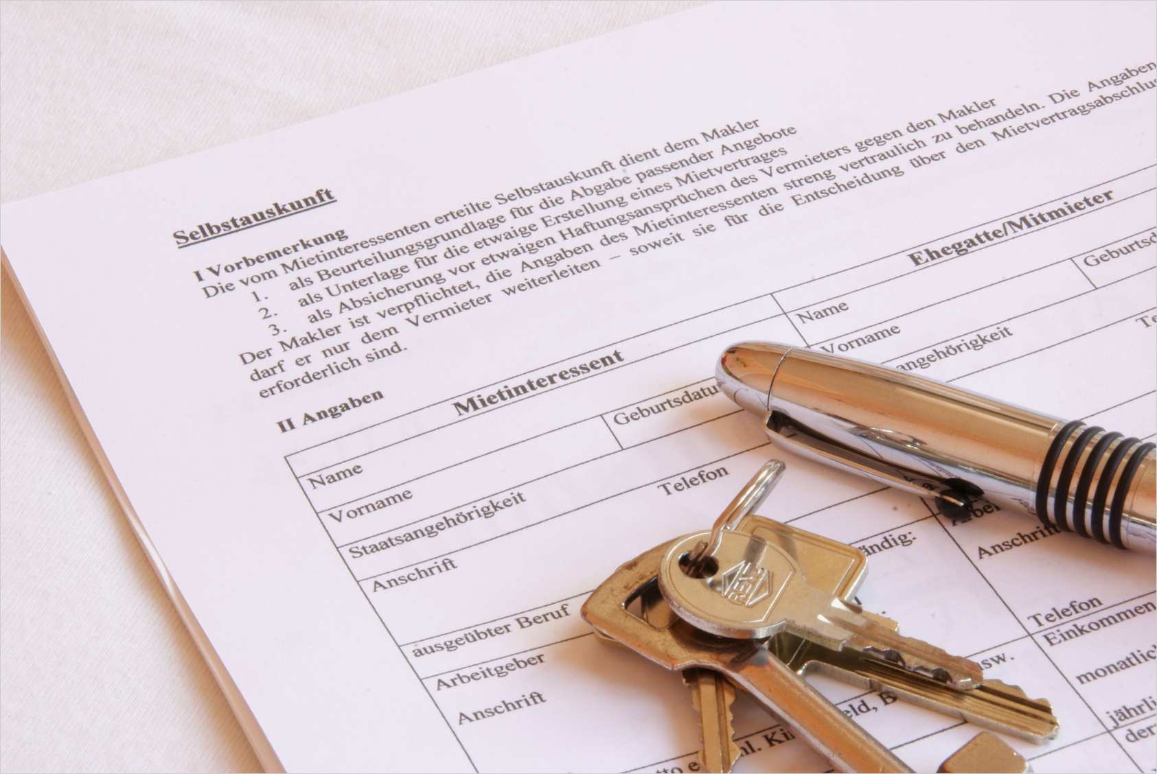 Ig Metall Kündigen Vorlage Hübsch Selbstauskunft formular