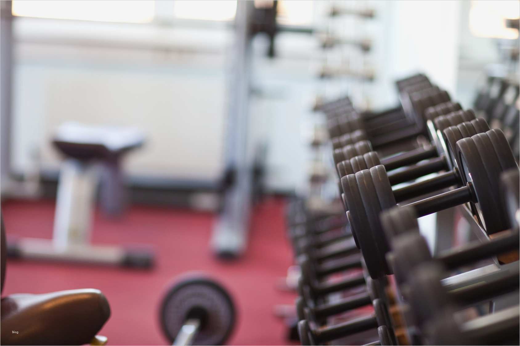 Ig Metall Kündigen Vorlage Luxus Mcfit Kündigung