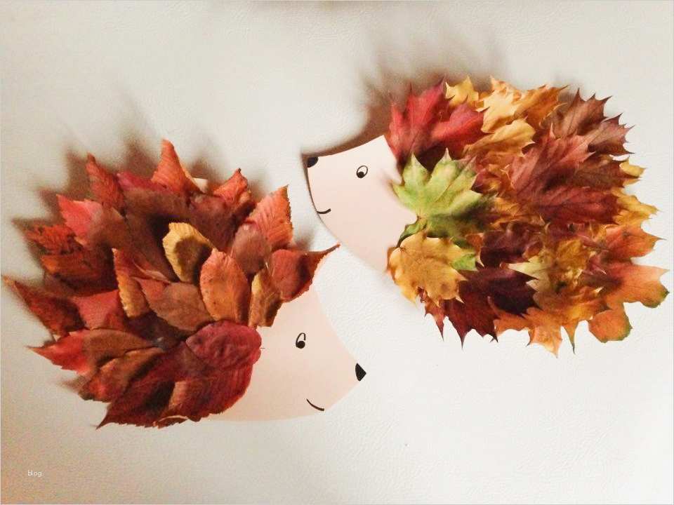 Igel Basteln Vorlage Erstaunlich Basteln Mit Herbstlaub Piri Fanclubpiri Fanclub