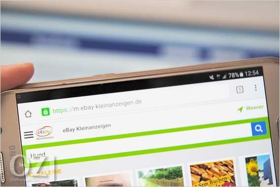 Impressum Ebay Kleinanzeigen Vorlage Luxus Wenn Tiere Online Verramscht Werden Ostfriesen Zeitung