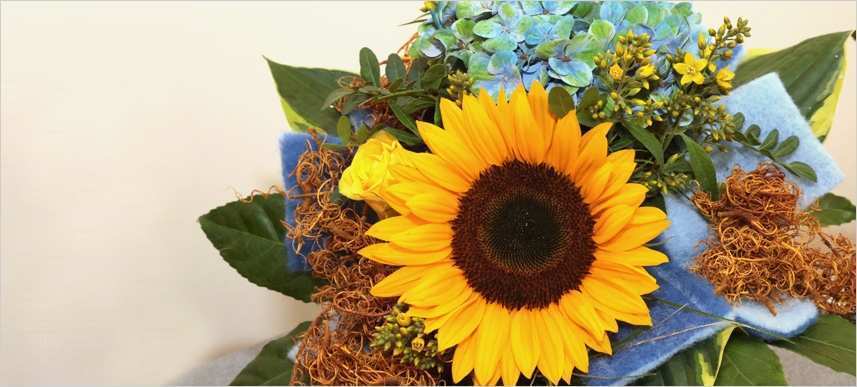 Impressum Nach 5 Tmg Vorlage Gut Impressum Pflichtangaben Nach §5 Tmg – Zahnarztpraxis