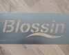 Impressum Vorlage Blog Luxus Blog Aluschablone Nach Vorlage "blossin"