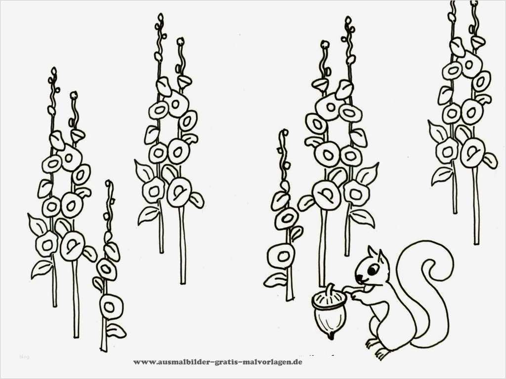 Impressum Vorlage Gewerblich Cool Mandalas Ostern