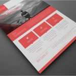 Indesign Flyer Vorlage Best Of Premium Member Benefit Corporate Flyer Templates