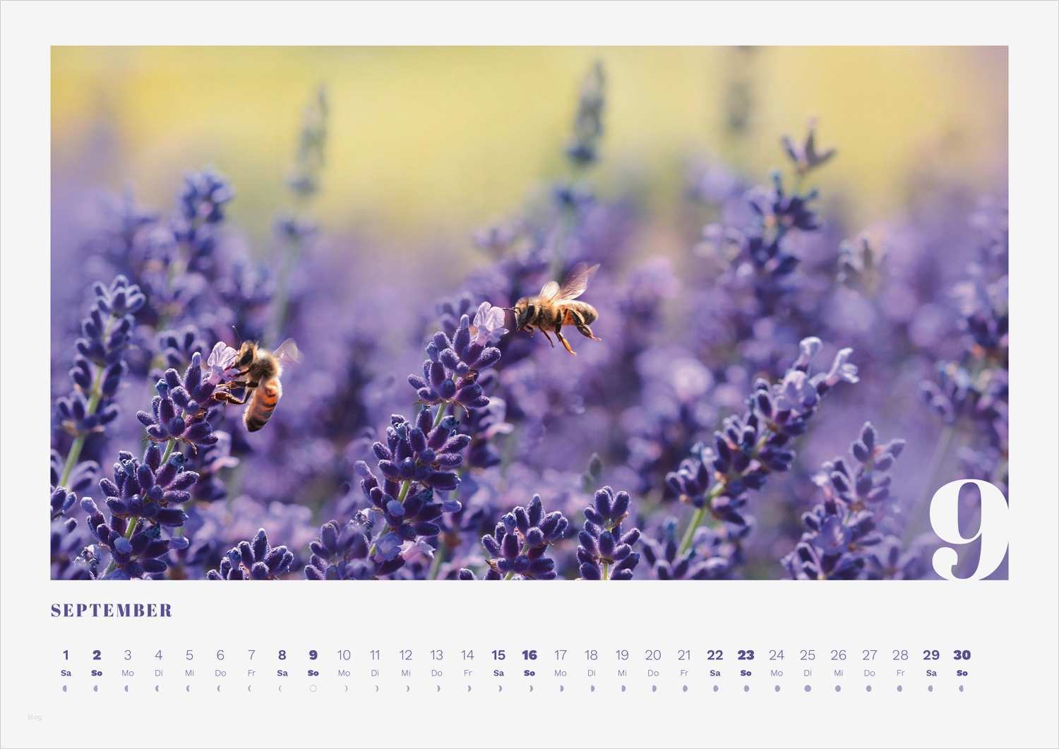 Indesign Vorlage Kalender 2018 Erstaunlich Professionelle Kalender Vorlagen Für Adobe Indesign Online