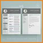 Indesign Vorlage Lebenslauf Angenehm 13 Lebenslauf Indesign