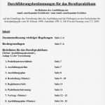 Individueller Ausbildungsplan Erzieher Vorlage Erstaunlich Durchführungsbestimmungen Für Das Berufspraktikum Pdf