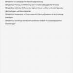 Individueller Ausbildungsplan Erzieher Vorlage Erstaunlich Leitfaden Zur Gestaltung Der Berufspraktischen Ausbildung