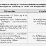 Individueller Ausbildungsplan Erzieher Vorlage Großartig Beiträge 2 Wirtschaftsdidaktische Beiträge Zur Lehrer
