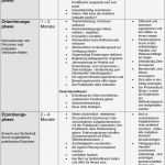 Individueller Ausbildungsplan Erzieher Vorlage Großartig Leitfaden Zur Anleitung Von Berufspraktikanten Pdf