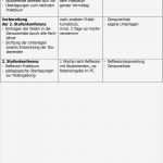 Individueller Ausbildungsplan Erzieher Vorlage Inspiration Leitfaden FÜr Praxis Und Unterricht Der Fachschule Für