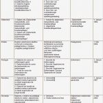 Individueller Ausbildungsplan Erzieher Vorlage Schön Krankenpflegegesetz Gesetzestext Und Ergänzende Vorschriften