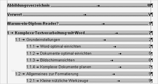 Inhaltsverzeichnis Bachelorarbeit Vorlage Best Of Inhaltsverzeichnis Diplom Reader