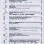 Inhaltsverzeichnis Bachelorarbeit Vorlage Elegant Inhaltsverzeichnis