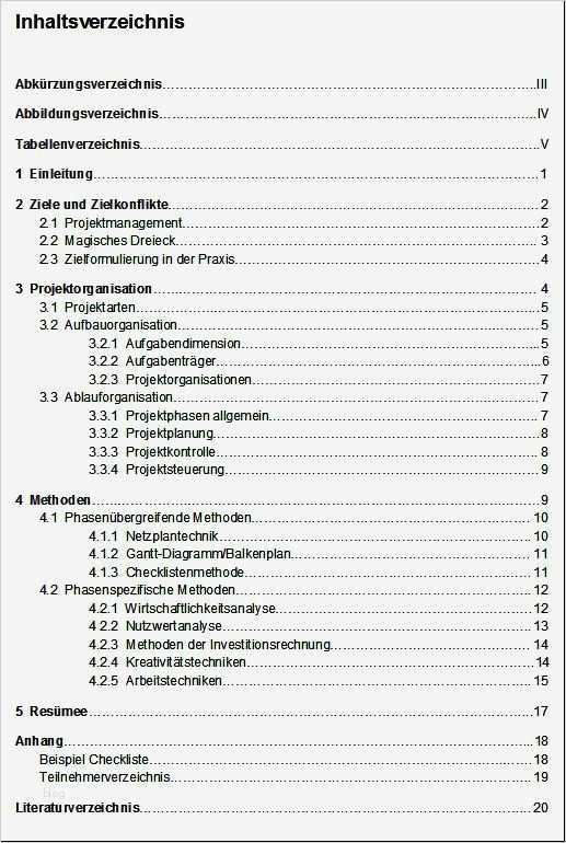 Inhaltsverzeichnis Hausarbeit Vorlage Erstaunlich Meine Erste Wissenschaftliche Hausarbeit Gliederung
