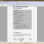 Inhaltsverzeichnis Vorlage Gut 9 Inhaltsverzeichnis Vorlage