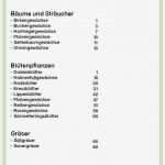 Inhaltsverzeichnis Vorlage Schule Neu Erfreut Inhaltsverzeichnis Vorlage Bilder