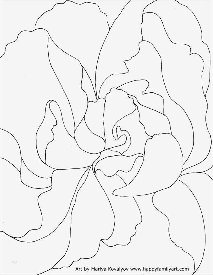 Instagram Biografie Vorlagen Inspiration Die Besten 25 Instagram Biografie Vorlagen Ideen Auf