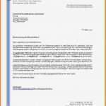 Interne Bewerbung Anschreiben Vorlage Angenehm Professur Ausfuhrlicher Lebenslauf Hiwi 8 Ausführlicher