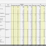 Investitionsrechnung Immobilien Excel Vorlage Erstaunlich tool Für Projekt Controlling In Excel