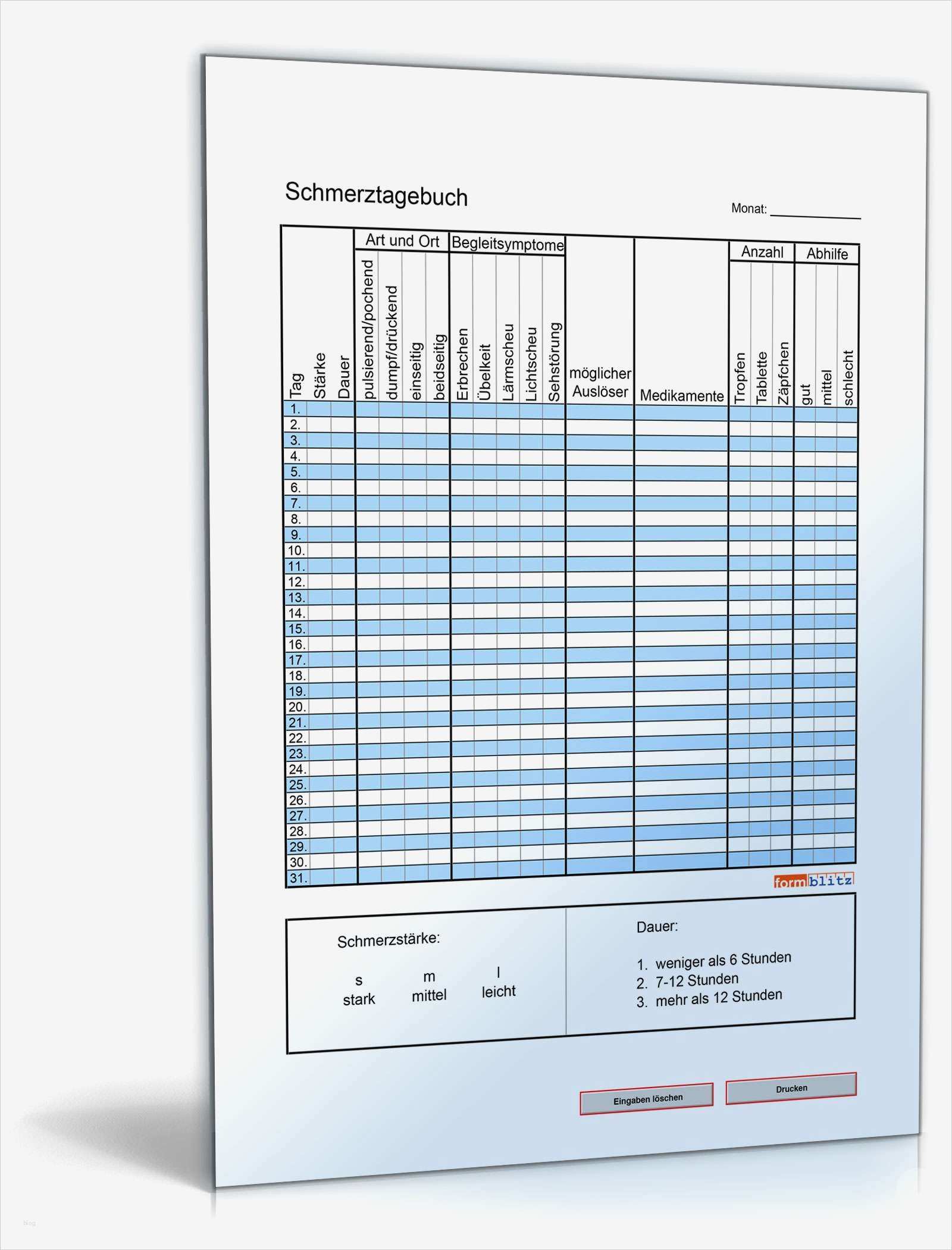 Investitionsrechnung Immobilien Excel Vorlage Gut Schmerztagebuch Für Einen Monat Tabelle Zum Download