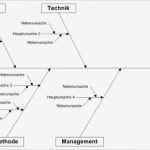 Ishikawa Diagramm Vorlage Bewundernswert organisationshandbuch Ursache Wirkungs Diagramm