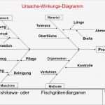 Ishikawa Diagramm Vorlage Schönste Nett ishikawa Vorlage Zeitgenössisch Entry Level Resume