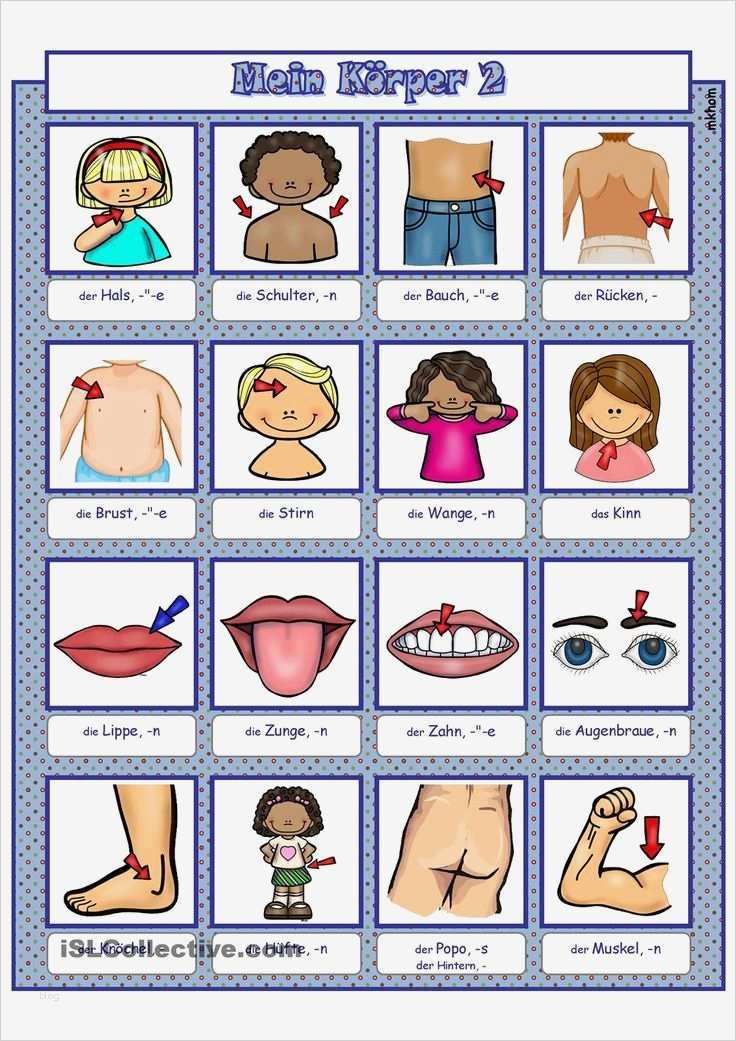 Jahresplanung Kindergarten Vorlage Beste Mein Körper 2 Bildwörterbuch