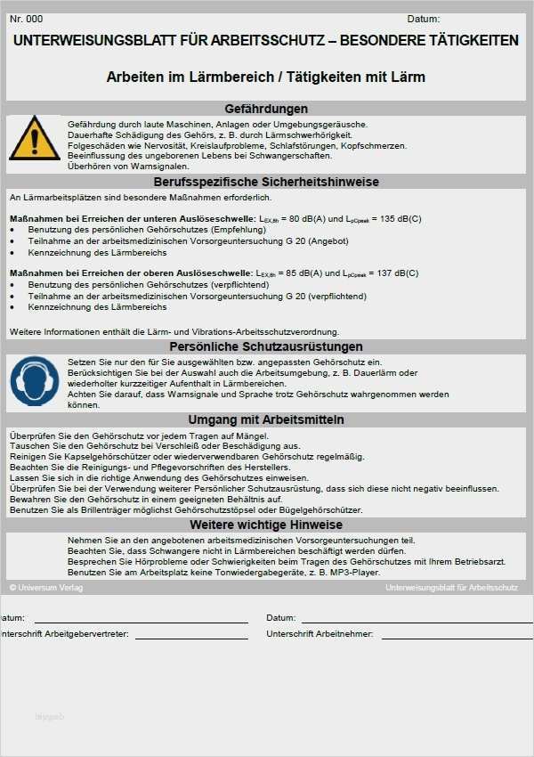 Jährliche Unterweisung Kranführer Vorlage Wunderbar Unterweisung Kranführer Vorlage Wunderbar Unterweisung