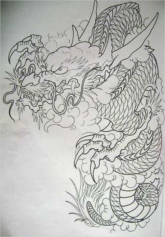 Japanische Drachen Tattoo Vorlagen Erstaunlich Pin Von Long Auf Hhh Pinterest