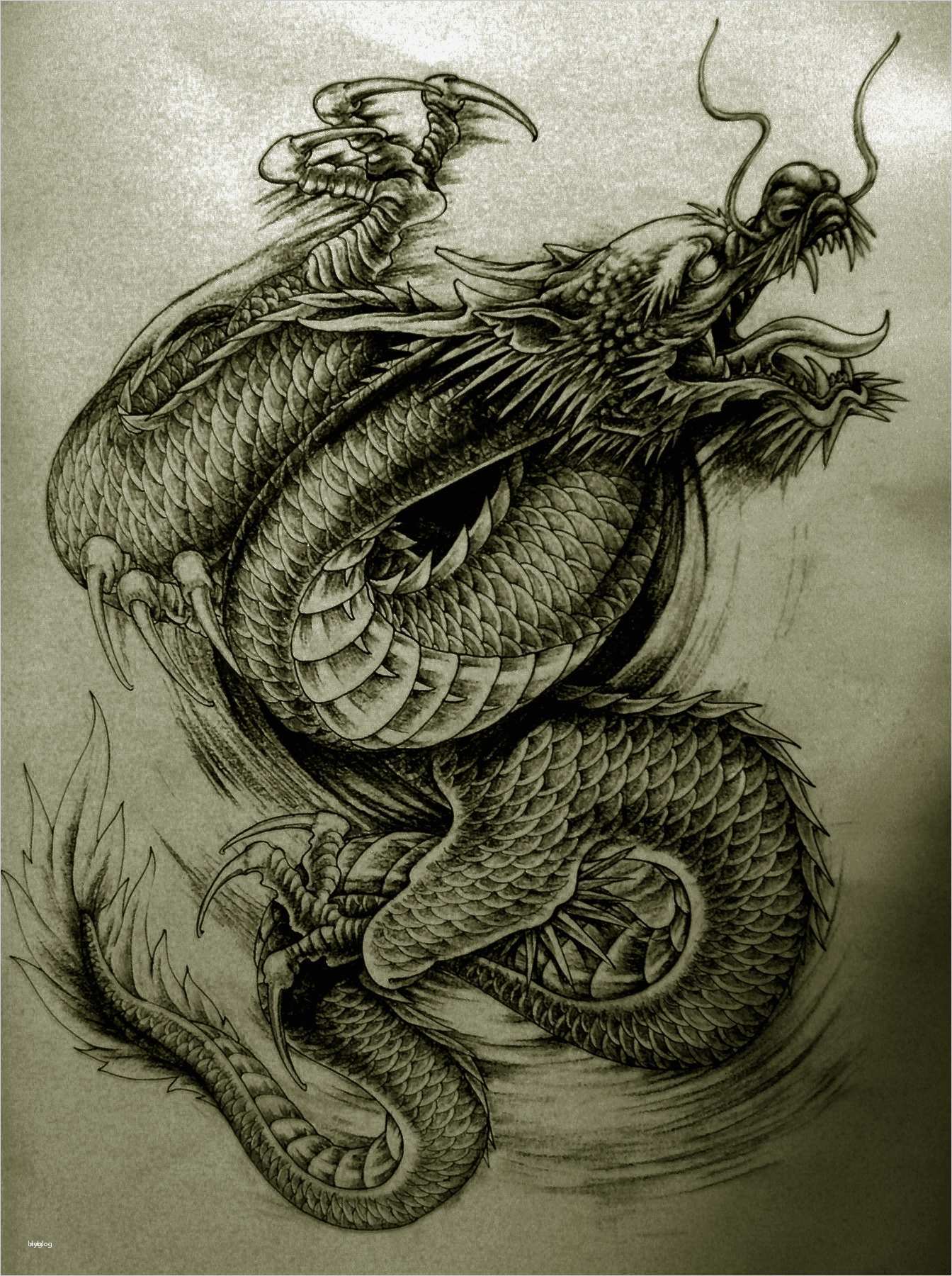 Japanische Drachen Tattoo Vorlagen Schönste Japanische Drachen Tattoo Vorlagen Luxus Pin Von Tattoo