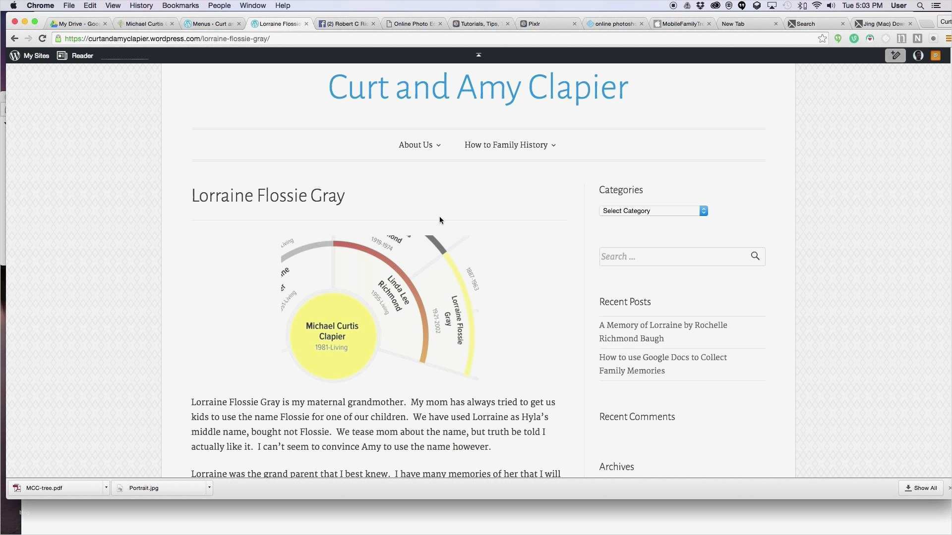 Jrk Flyer Vorlage Neu Fein Baum Powerpoint Vorlage Bilder Entry Level Resume