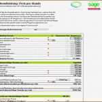 Kalkulation Excel Vorlage Kostenlos Erstaunlich 11 Kalkulation Excel Vorlage Vorlagen123 Vorlagen123