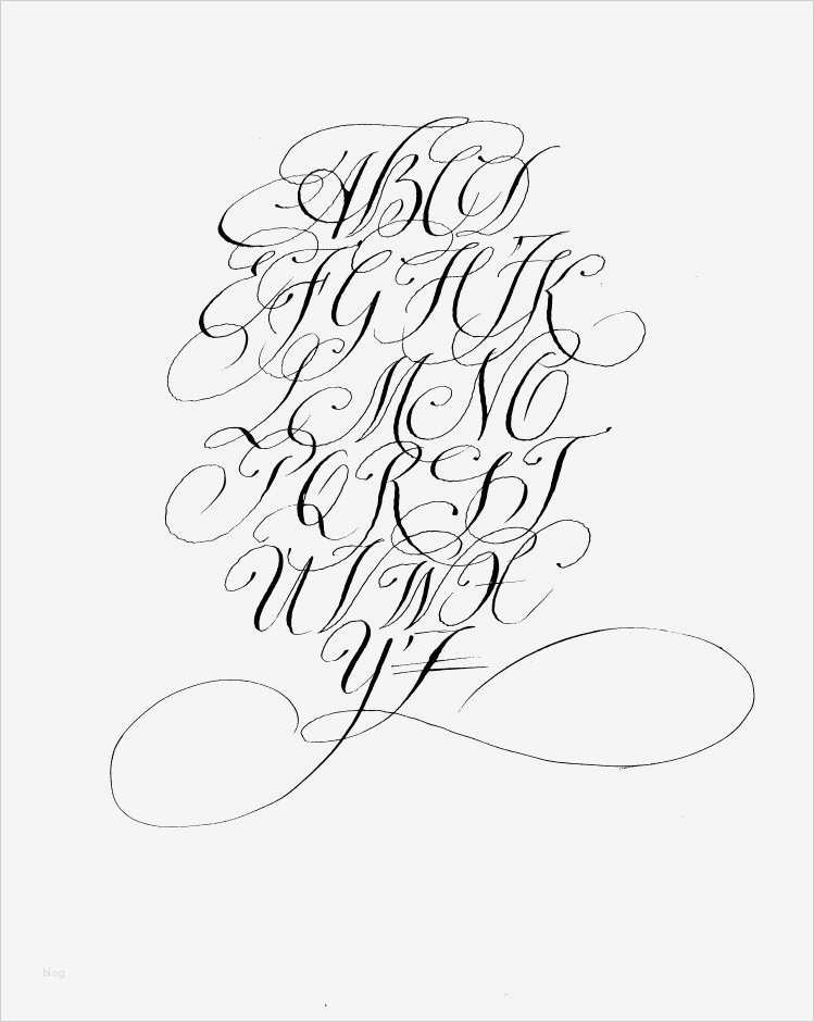 Kalligraphie Alphabet Vorlagen Inspiration Bildergebnis Für Kalligraphie Alphabet