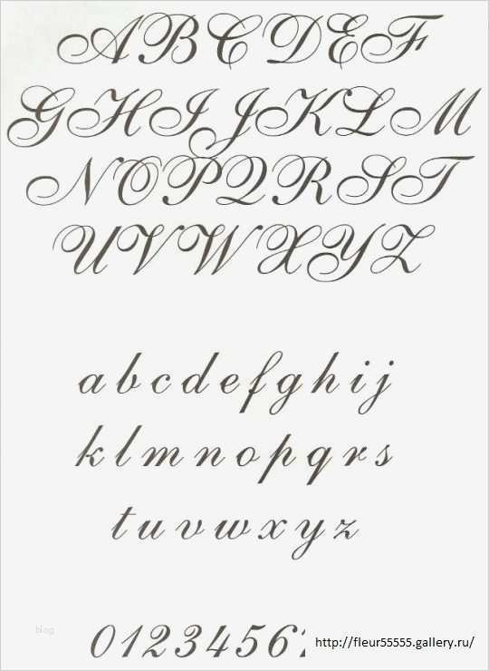 Kalligraphie Alphabet Vorlagen Neu Gallery Фото 5 9 Fleur Betű