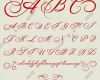 Kalligraphie Schrift Vorlagen Erstaunlich Vektor Handgezeichnete Kalligraphische Alphabet Auf Der