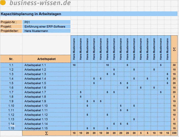 Kapazitätsplanung Excel Vorlage Kostenlos Inspiration Übersicht Kapazitätsplanung Für Das Projektmanagement
