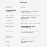 Karrierebibel Lebenslauf Vorlage Gut Muster Lebenslauf Word Muster Lebenslauf Nebenjob