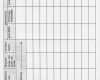 Kassenblatt Vorlage Einzigartig Downloads