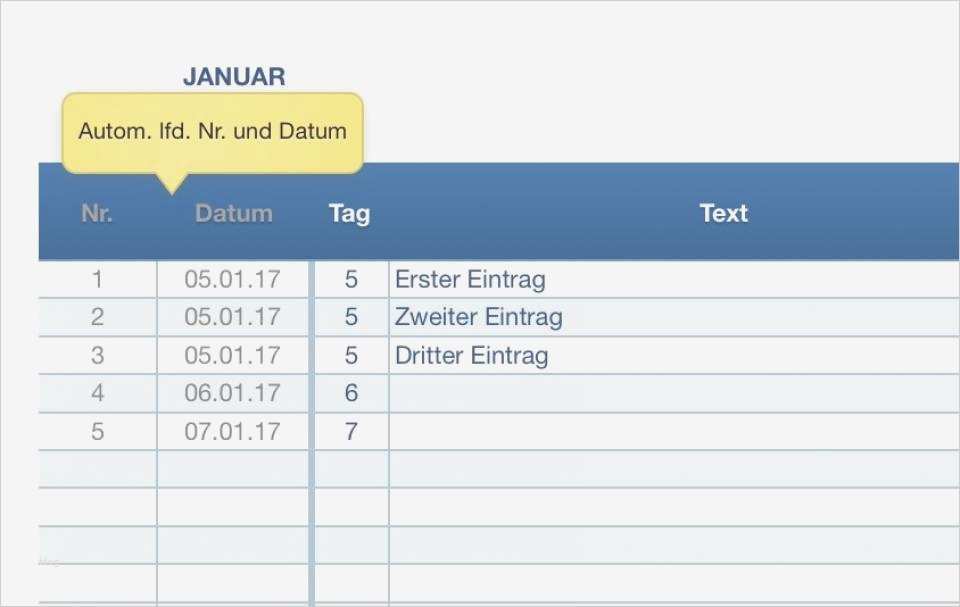 Kassenblatt Vorlage Schönste Groß Kassenbuch Vorlage Fotos Dokumentationsvorlage