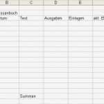 Kassenbuch Vorlage Zum Ausdrucken Genial Excel 2003 Kassenbuch