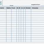 Kassenzählprotokoll Excel Vorlage Genial Nett Aktionsplan Vorlage Excel Bilder