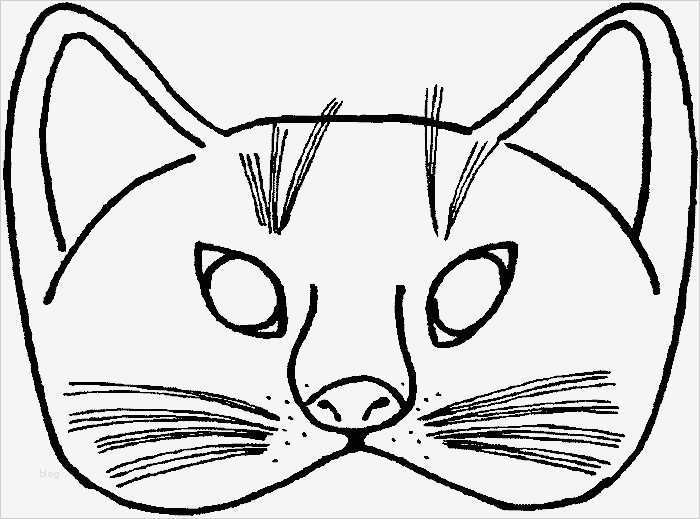 Katze Basteln Vorlage Neu Die Besten 25 Masken Zum Ausdrucken Ideen Auf Pinterest