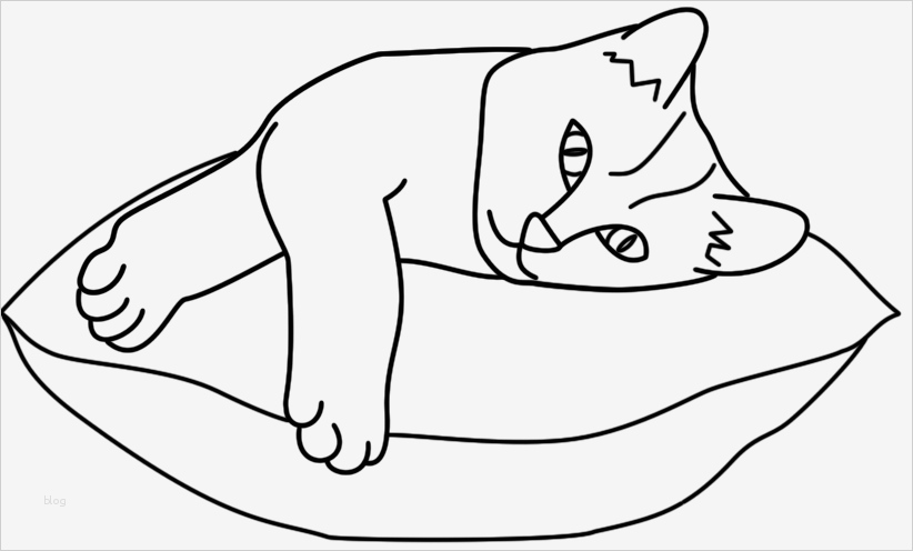 Katze Basteln Vorlage Schön Katzenfreund Windowcolor Bilder Zum thema Katzen