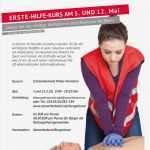 Katze Vermisst Vorlage Angenehm Erfreut Vermisste Person Poster Vorlage Galerie Entry